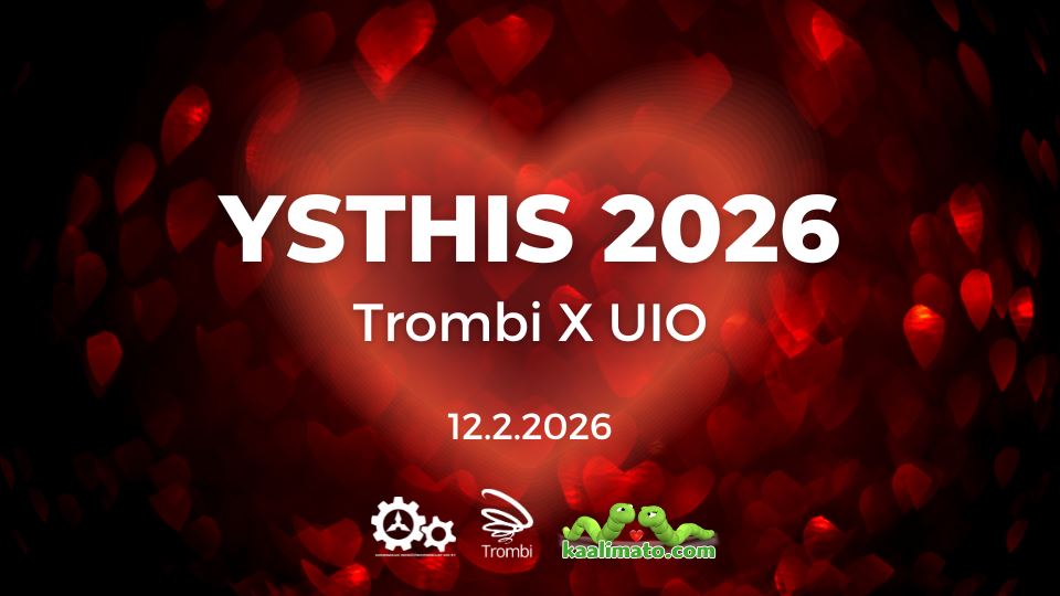 ysthis 12.2.2026